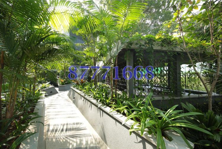 Mon Jervois (D10), Condominium #136219862